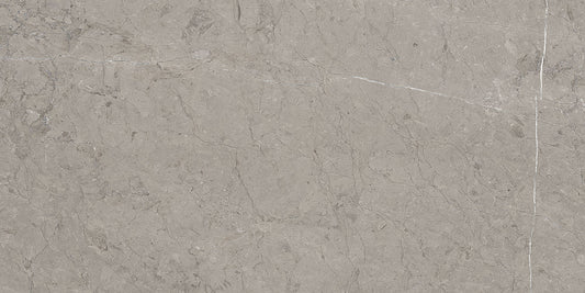 Ecstasy Rapture 30x60 Matte Porcelain Tile