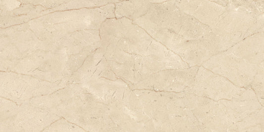 Ecstasy Paradise 12x24 Glossy Porcelain Tile