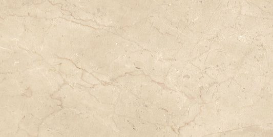 Ecstasy Paradise 24x48 Glossy Porcelain Slab