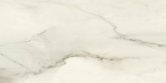 Ecstasy Elation 24x48 Matte Porcelain Slab