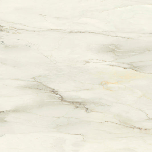 Ecstasy Elation 48x48 Glossy Porcelain Tile