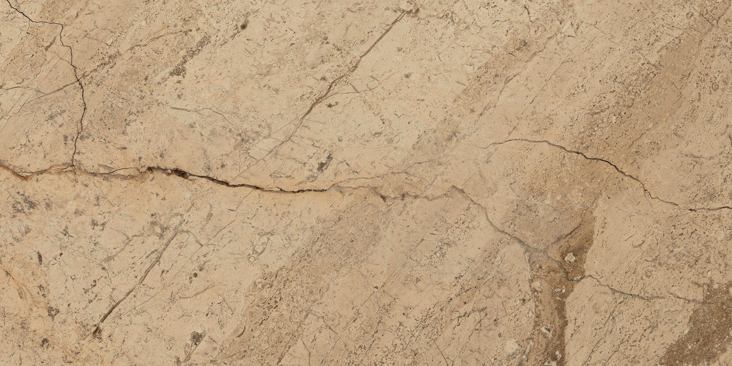 Ecstasy Joy 24x48 Matte Porcelain Slab