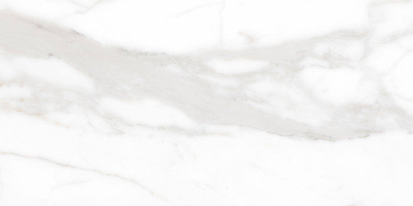 Ecstasy Pleasure 24x48 Matte Porcelain Slab