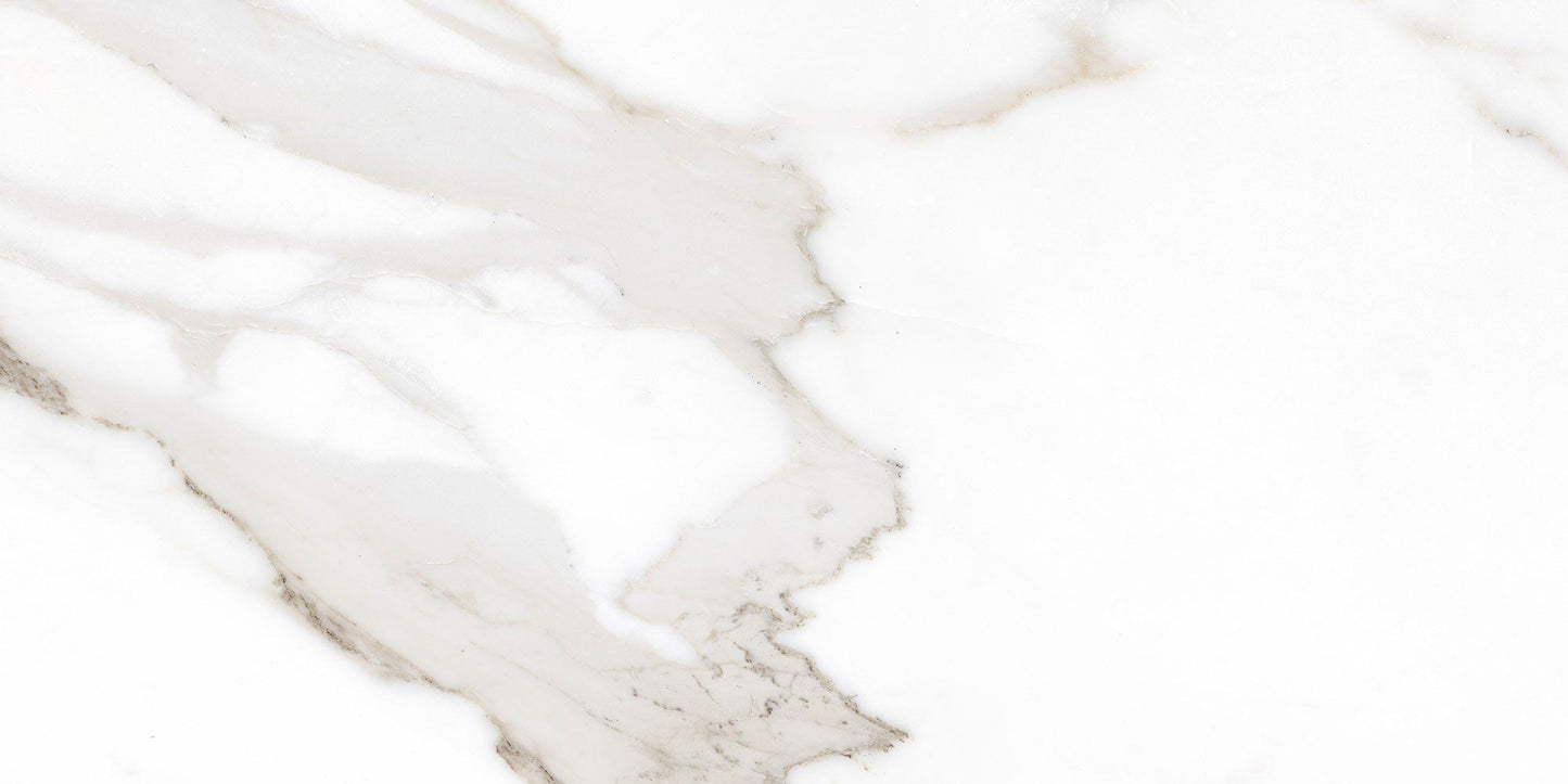 Ecstasy Pleasure 30x60 Glossy Porcelain Tile