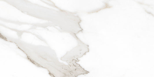 Ecstasy Pleasure 30x60 Glossy Porcelain Tile