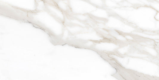Ecstasy Pleasure 12x24  Matte Porcelain Tile