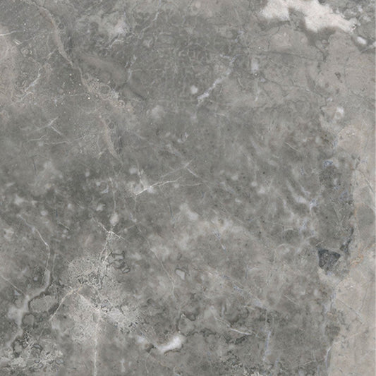 Ecstasy Appetite 24x24 Glossy Porcelain Tile