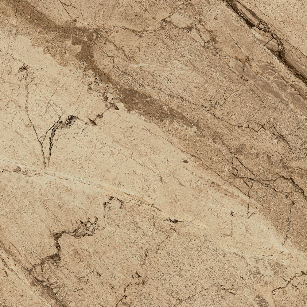 Ecstasy Joy 30x30 Glossy Porcelain Tile