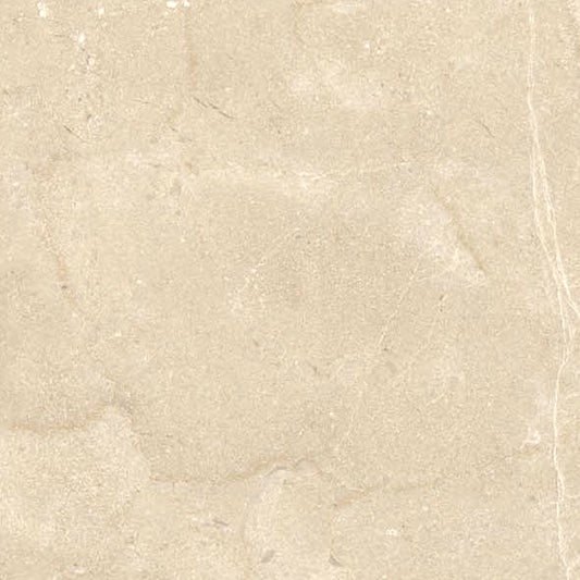 Ecstasy Paradise 24x24 Matte Porcelain Tile