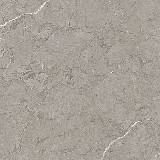 Ecstasy Rapture 48x48 Glossy Porcelain Tile