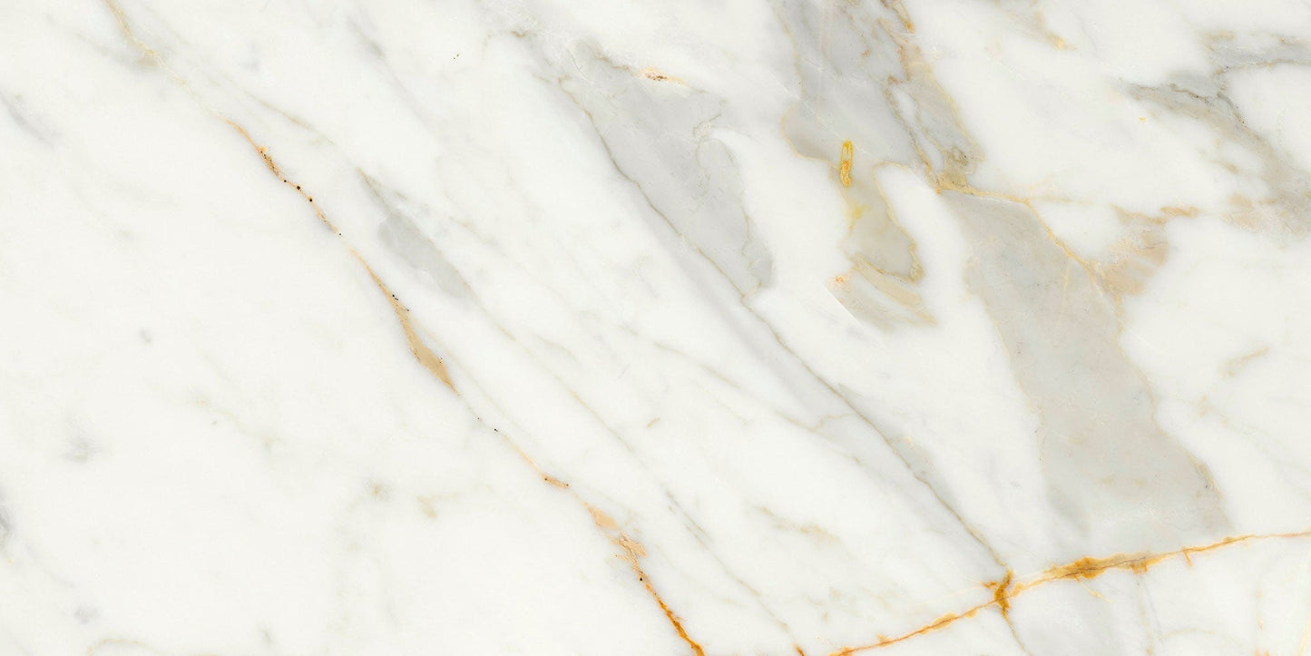 Ecstasy Thrill 12x24 Glossy Porcelain Tile