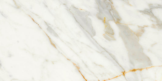 Ecstasy Thrill 12x24 Glossy Porcelain Tile