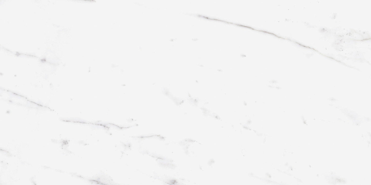 Ecstasy Zeal 12x24 Matte Porcelain Tile