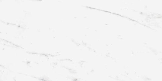 Ecstasy Zeal 12x24 Matte Porcelain Tile