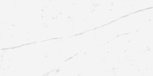 Ecstasy Zeal 30x60 Matte Porcelain Tile