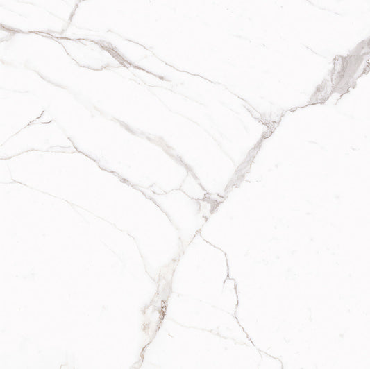 Ecstasy Zeal 48x48 Glossy Porcelain Tile