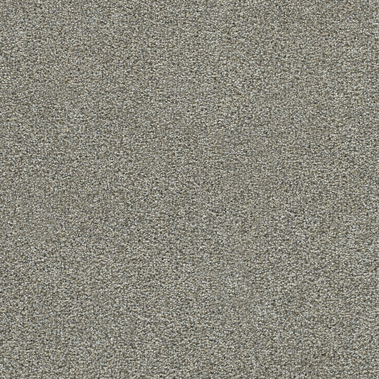 Evening Dune solution dyed cut pile carpet