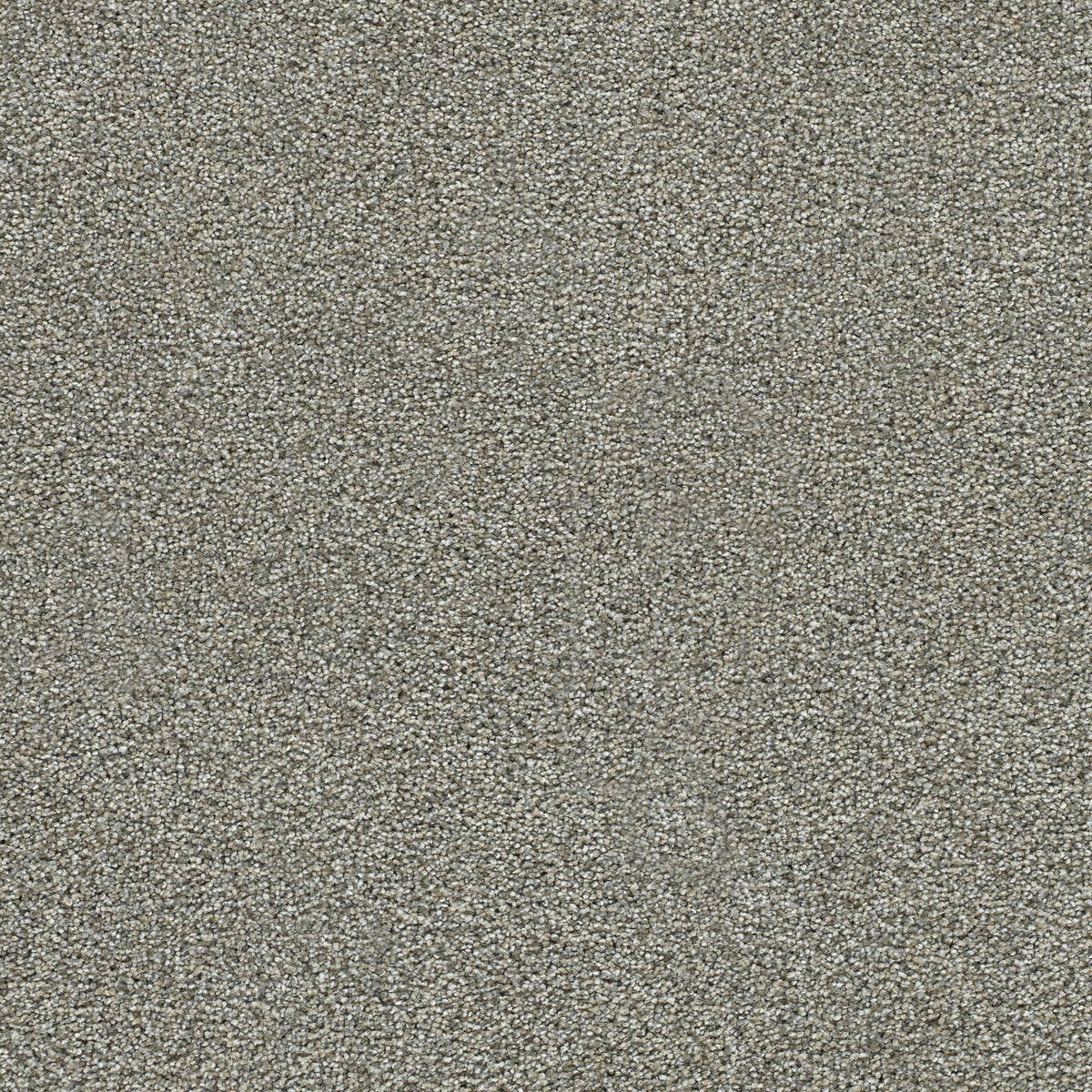 Evening Dune solution dyed cut pile carpet