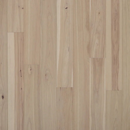 Hickory Exploration 6-1/2" Brushed