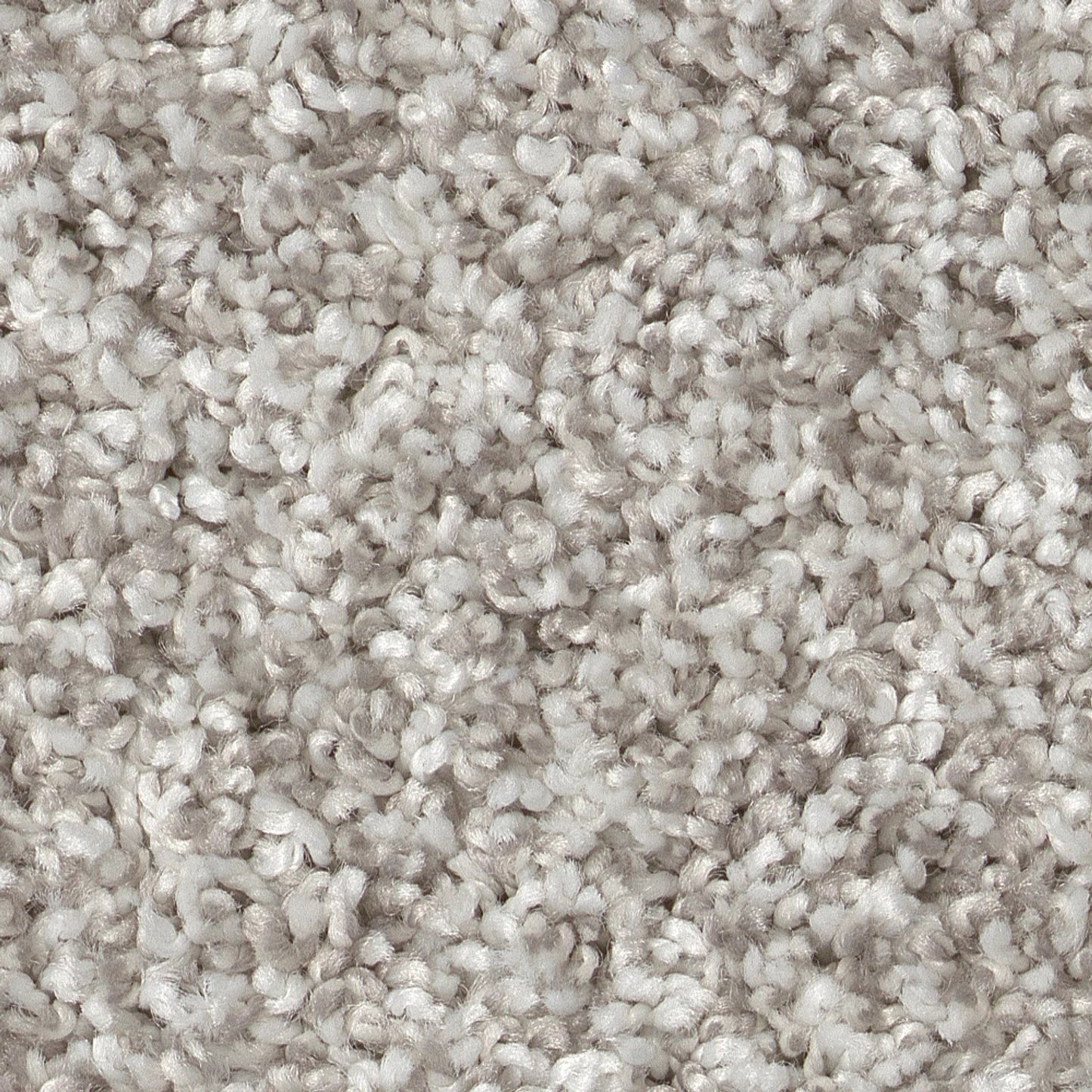 Close-up of textured beige carpet