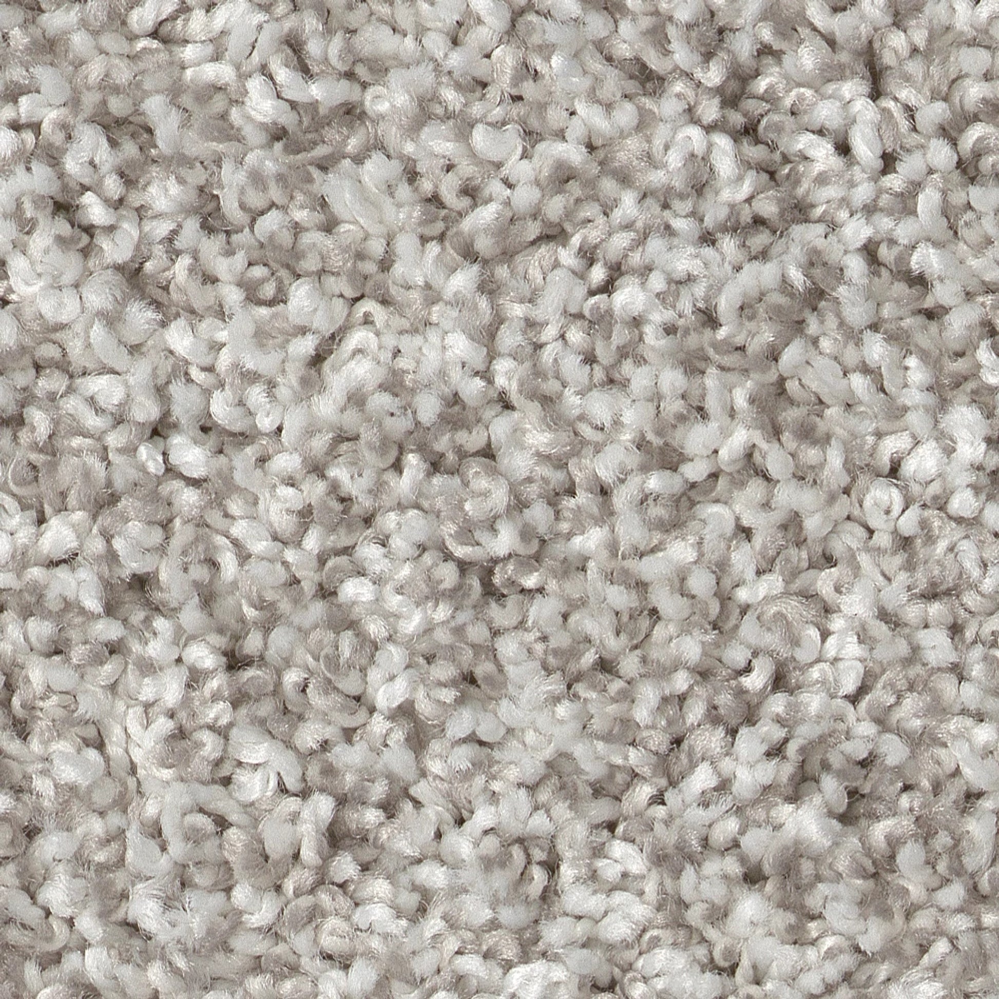 Close-up of textured beige carpet