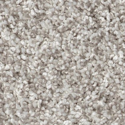 Close-up of textured beige carpet