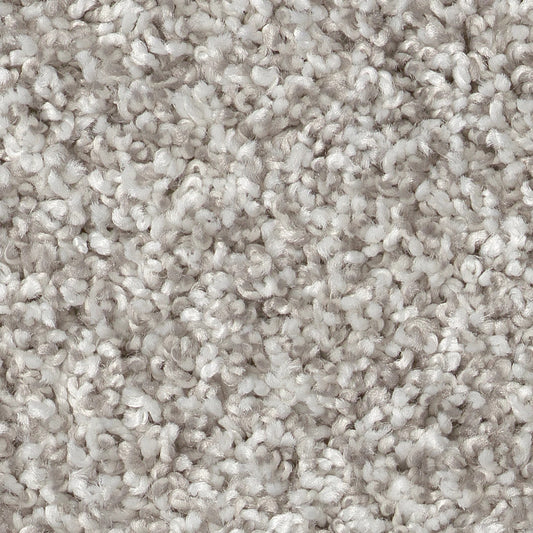 Close-up of textured beige carpet
