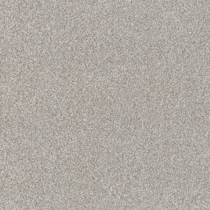 Solid light gray color swatch