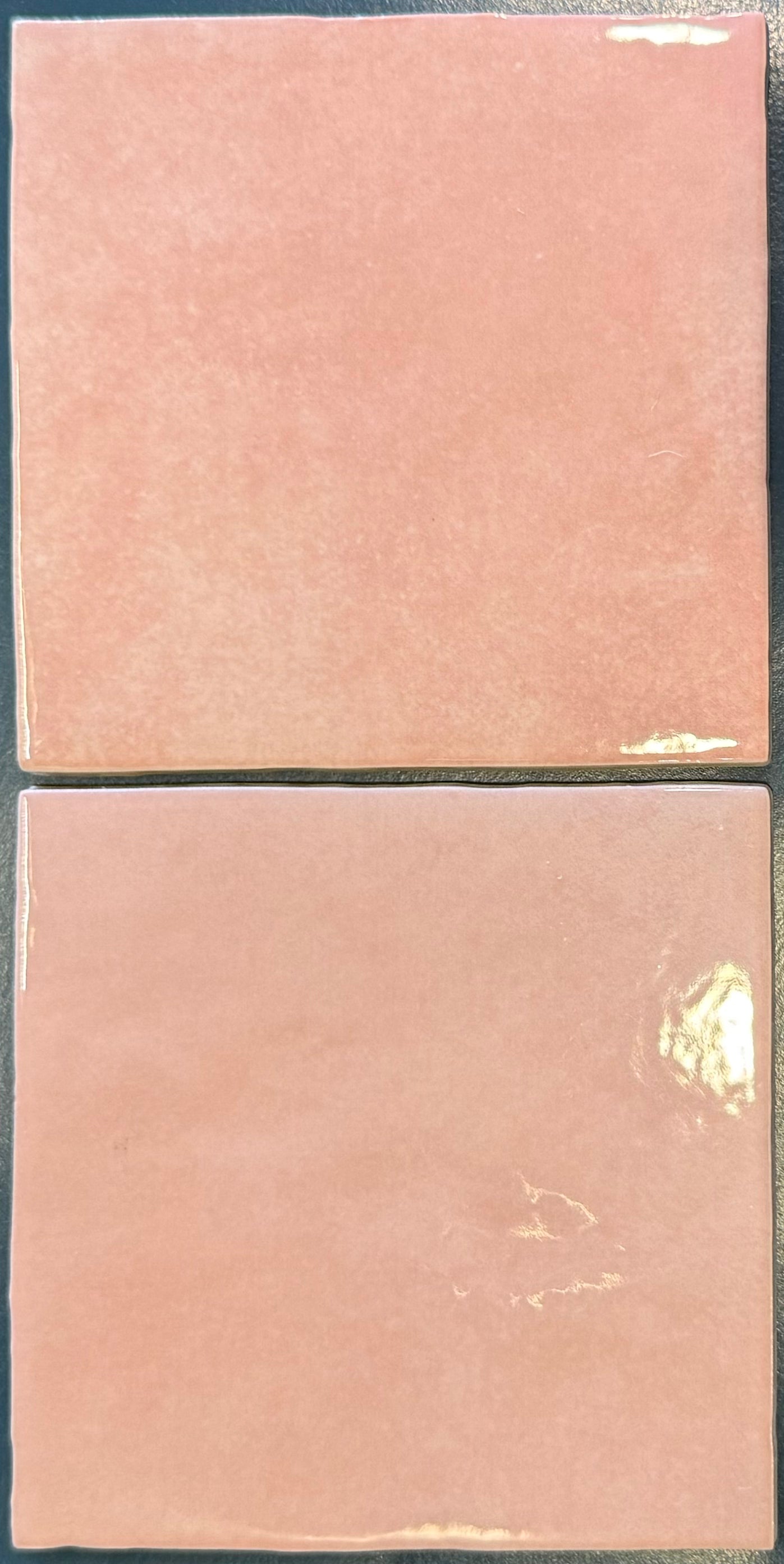 Rose Mallow 5x5