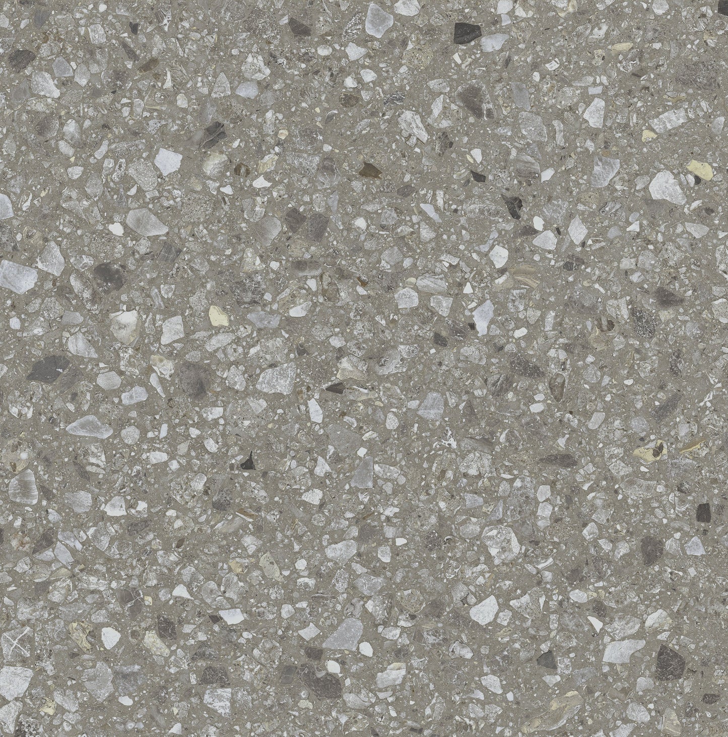 Machismo Stallion 24x24 Porcelain Tile