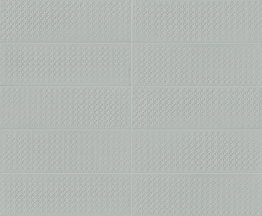 Skin Anole 2x6 Brick Lattice