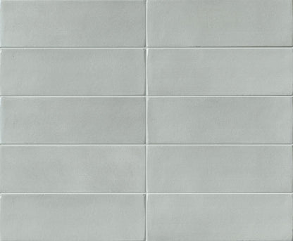 Skin Anole 2x6 Brick Matte