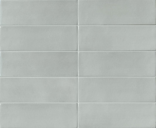 Skin Anole 2x6 Brick Matte