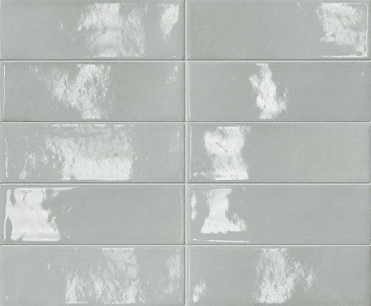Anole 2x6 Brick Gloss