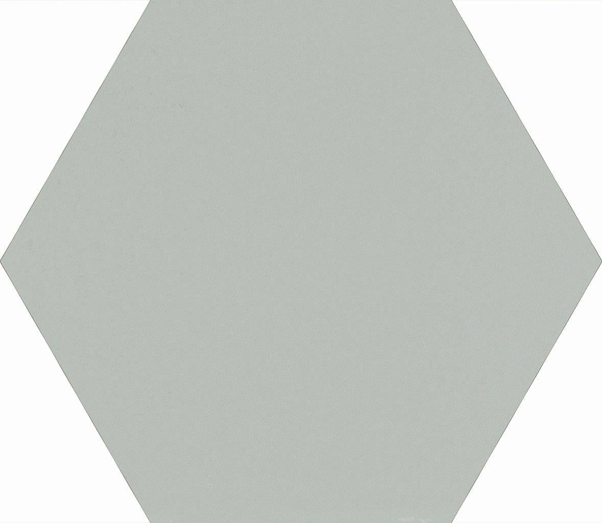 Skin Anole 8x7 Hexagon Porcelain Tile