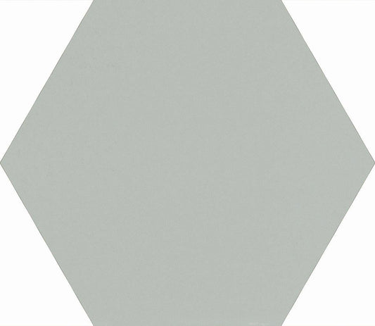Skin Anole 8x7 Hexagon Porcelain Tile