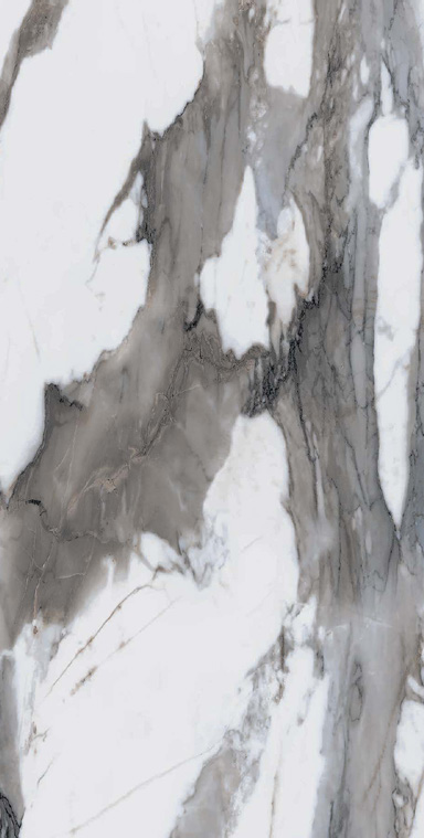 Gris 12x24