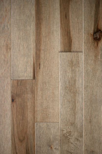 Hard Maple Cambium 3¼" Matte