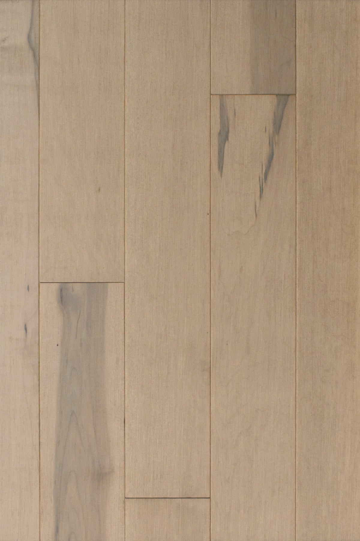 Hard Maple Evasion 5¼" Matte