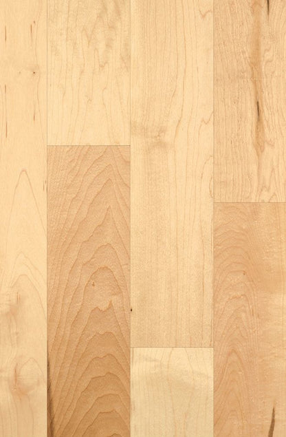 Hard Maple Natural 3¼" Extreme