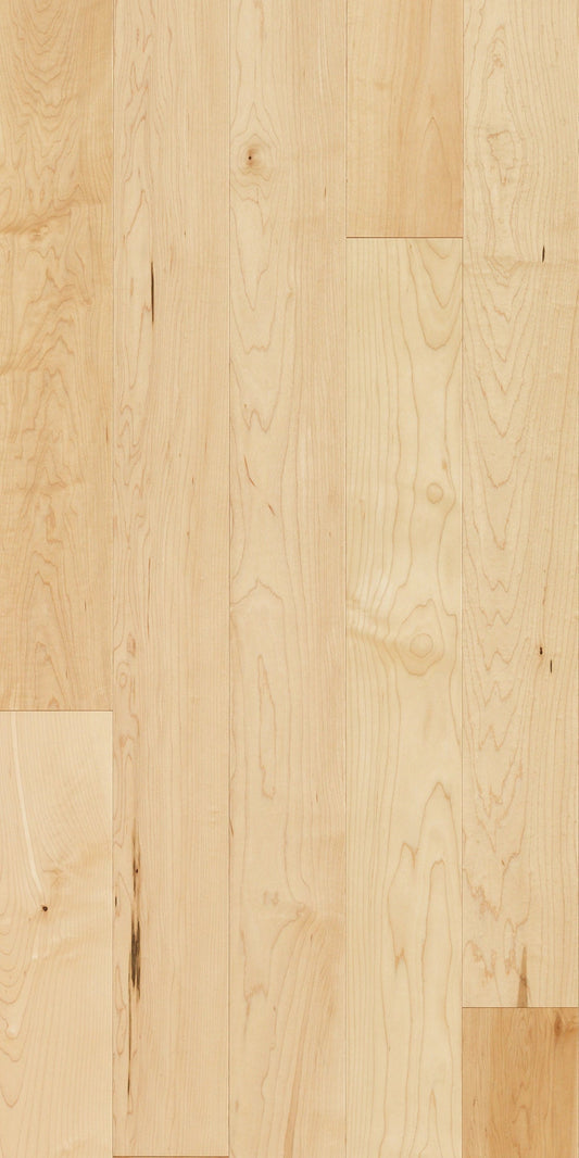 Hard Maple Natural 5