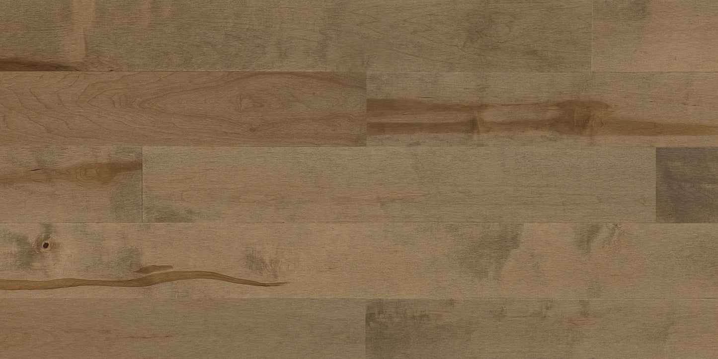Hard Maple Treasure 6½