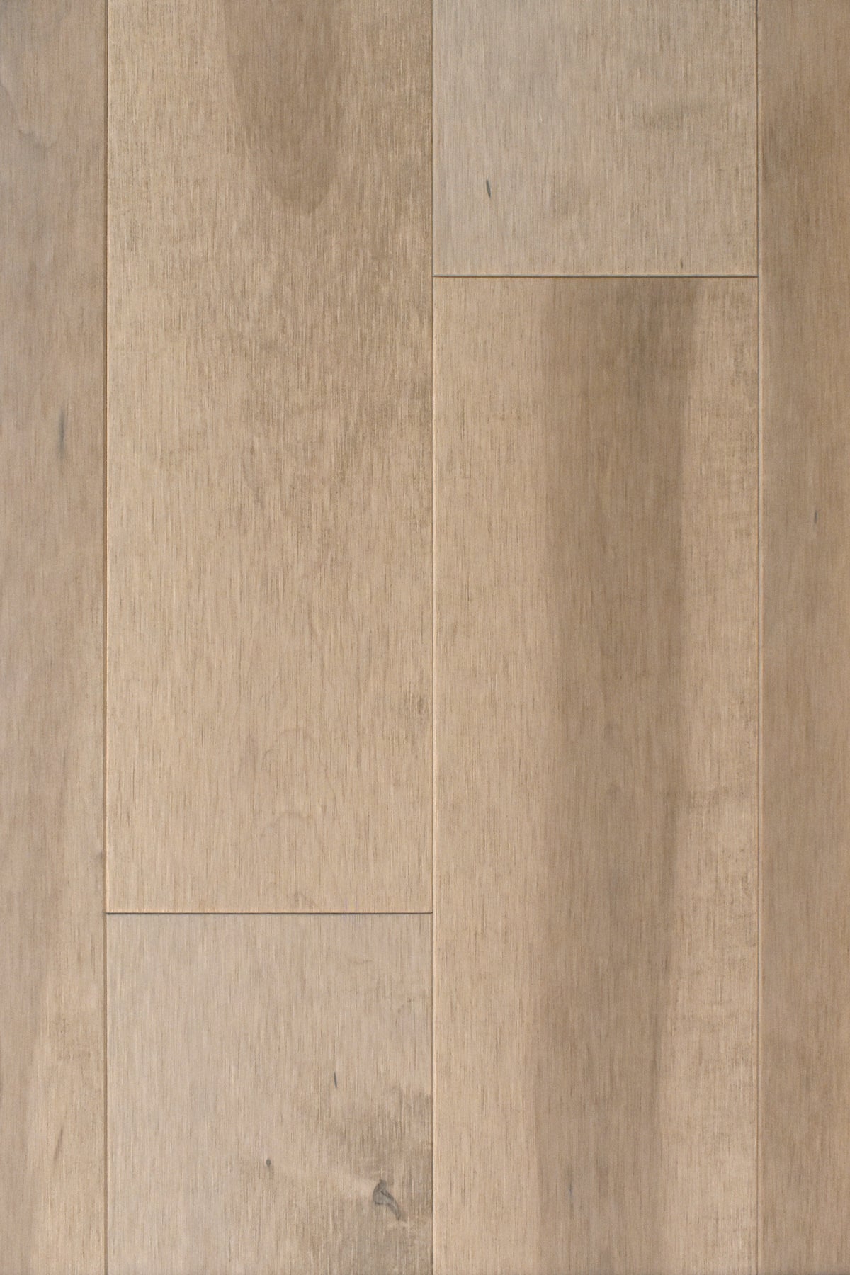 Hard Maple Valorem 5¼" Matte