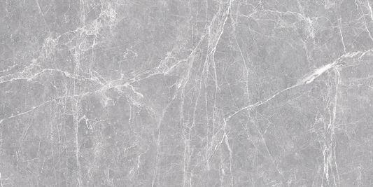 Terre Gray Polished 24x48