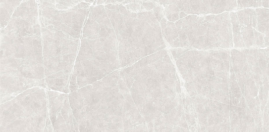 Terre White Polished 24x48
