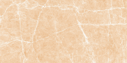 Terre Beige Polished 24x48