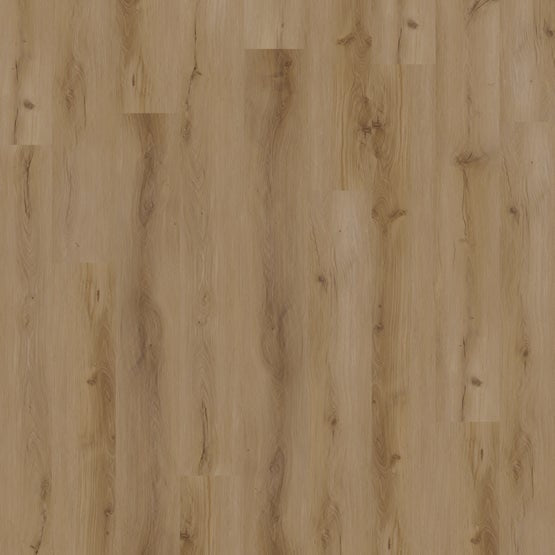 Macadamia 9x72