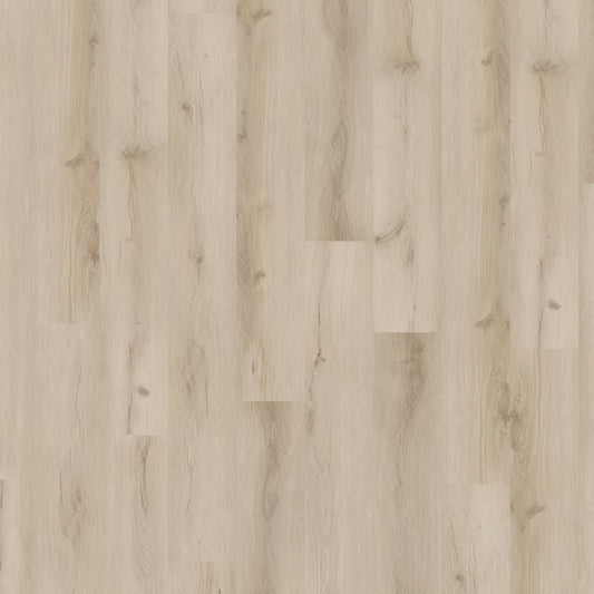 French Vanilla 9x72