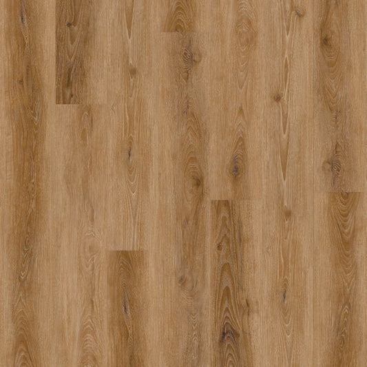 Warm Saddle 7x60