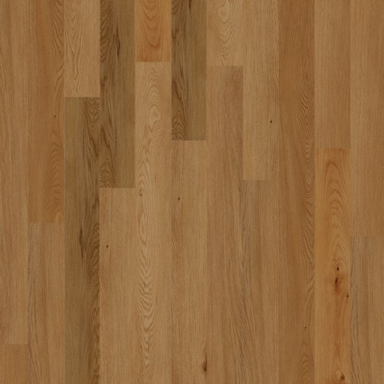 Nutmeg 4x48